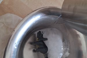 dino