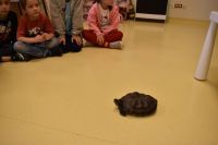 Zajęcia ze zwierzątkami- 28.10.2025r.