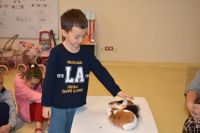 Zajęcia ze zwierzątkami- 28.10.2025r.