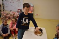 Zajęcia ze zwierzątkami- 28.10.2025r.