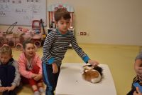 Zajęcia ze zwierzątkami- 28.10.2025r.