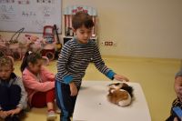 Zajęcia ze zwierzątkami- 28.10.2025r.