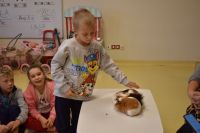 Zajęcia ze zwierzątkami- 28.10.2025r.