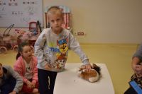 Zajęcia ze zwierzątkami- 28.10.2025r.