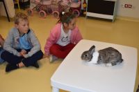 Zajęcia ze zwierzątkami- 28.10.2025r.