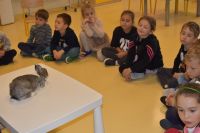 Zajęcia ze zwierzątkami- 28.10.2025r.