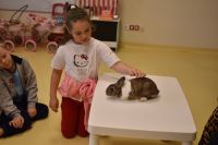 Zajęcia ze zwierzątkami- 28.10.2025r.