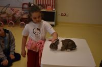Zajęcia ze zwierzątkami- 28.10.2025r.