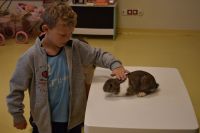 Zajęcia ze zwierzątkami- 28.10.2025r.