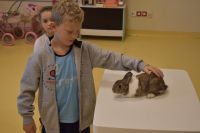 Zajęcia ze zwierzątkami- 28.10.2025r.