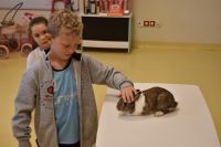 Zajęcia ze zwierzątkami- 28.10.2025r.