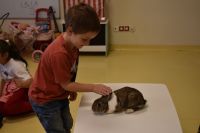 Zajęcia ze zwierzątkami- 28.10.2025r.