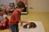 Zajęcia ze zwierzątkami- 28.10.2025r.