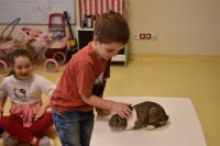 Zajęcia ze zwierzątkami- 28.10.2025r.