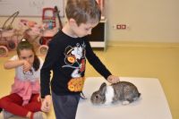 Zajęcia ze zwierzątkami- 28.10.2025r.