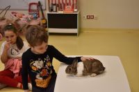 Zajęcia ze zwierzątkami- 28.10.2025r.