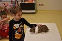 Zajęcia ze zwierzątkami- 28.10.2025r.