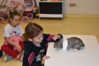 Zajęcia ze zwierzątkami- 28.10.2025r.