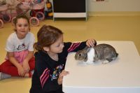 Zajęcia ze zwierzątkami- 28.10.2025r.