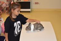 Zajęcia ze zwierzątkami- 28.10.2025r.