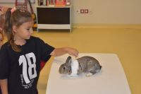 Zajęcia ze zwierzątkami- 28.10.2025r.