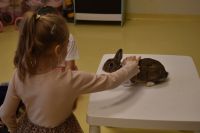 Zajęcia ze zwierzątkami- 28.10.2025r.