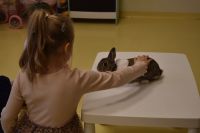 Zajęcia ze zwierzątkami- 28.10.2025r.