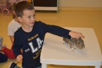 Zajęcia ze zwierzątkami- 28.10.2025r.