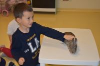 Zajęcia ze zwierzątkami- 28.10.2025r.