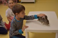 Zajęcia ze zwierzątkami- 28.10.2025r.