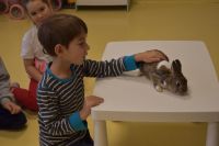 Zajęcia ze zwierzątkami- 28.10.2025r.