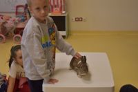 Zajęcia ze zwierzątkami- 28.10.2025r.