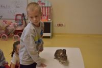 Zajęcia ze zwierzątkami- 28.10.2025r.