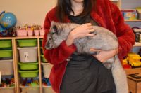 Zajęcia ze zwierzątkami- 28.10.2025r.