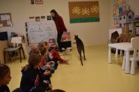 Zajęcia ze zwierzątkami- 28.10.2025r.