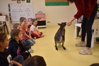 Zajęcia ze zwierzątkami- 28.10.2025r.