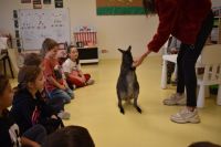 Zajęcia ze zwierzątkami- 28.10.2025r.