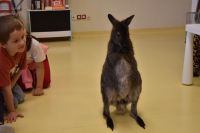 Zajęcia ze zwierzątkami- 28.10.2025r.