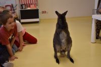 Zajęcia ze zwierzątkami- 28.10.2025r.