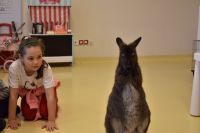 Zajęcia ze zwierzątkami- 28.10.2025r.