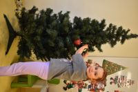 Ubieranie choinki- 4.12.2025r.
