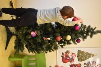 Ubieranie choinki- 4.12.2025r.