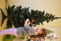 Ubieranie choinki- 4.12.2025r.