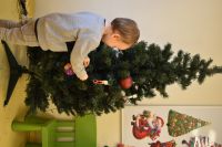 Ubieranie choinki- 4.12.2025r.