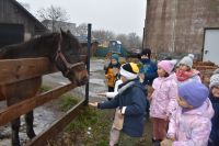 Wycieczka do wioski św.Mikołaja- 5.12.2025r.