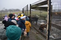 Wycieczka do wioski św.Mikołaja- 5.12.2025r.