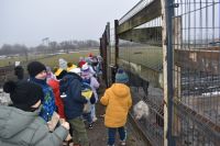 Wycieczka do wioski św.Mikołaja- 5.12.2025r.