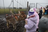 Wycieczka do wioski św.Mikołaja- 5.12.2025r.