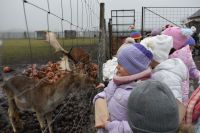 Wycieczka do wioski św.Mikołaja- 5.12.2025r.