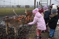 Wycieczka do wioski św.Mikołaja- 5.12.2025r.